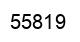Número 55819 imagen negro