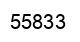 Number 55833 black image