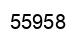 Number 55958 black image
