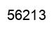 Number 56213 black image