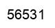 Number 56531 black image