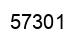 Number 57301 black image
