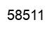 Number 58511 black image