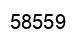 Number 58559 black image