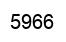Número 5966 imagen negro