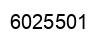Number 6025501 black image