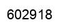 Number 602918 black image