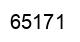 Number 65171 black image