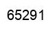 Number 65291 black image