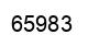 Number 65983 black image