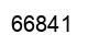 Number 66841 black image