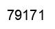 Number 79171 black image