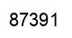 Number 87391 black image