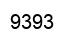Number 9393 black image