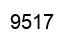Number 9517 black image