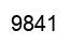 Number 9841 black image