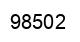 Number 98502 black image