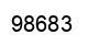 Number 98683 black image