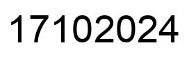 Number 17102024 black image