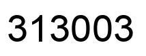 Number 313003 black image