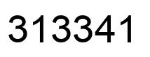 Number 313341 black image