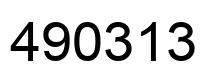 Number 490313 black image