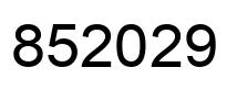 Number 852029 black image
