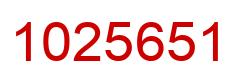 Number 1025651 red image