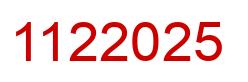 Number 1122025 red image