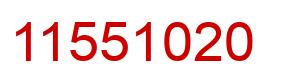 Number 11551020 red image