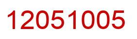 Number 12051005 red image