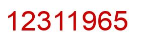 Number 12311965 red image