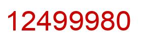 Number 12499980 red image