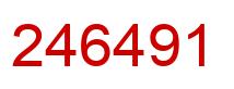 Number 246491 red image