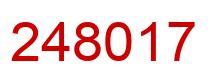 Number 248017 red image