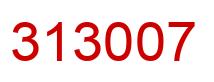 Number 313007 red image