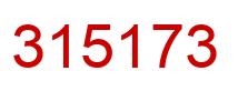 Number 315173 red image