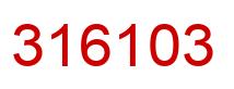 Number 316103 red image