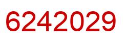 Number 6242029 red image