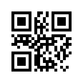 QR code 119909