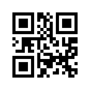 QR code 12101960