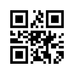 QR code 1232029