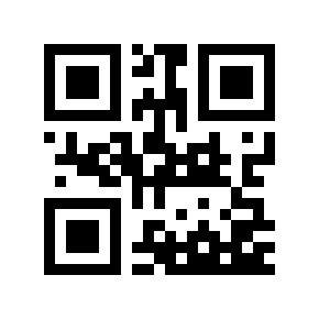 QR code 130101
