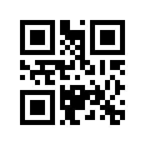 QR code 13121968