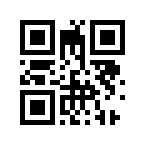 QR code 13333329