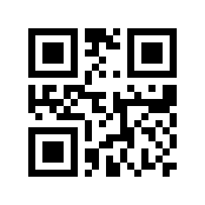 QR code 13569962