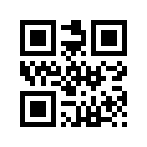 QR code 13569966