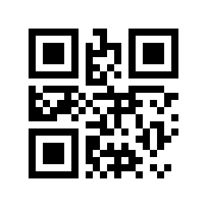 Código QR 135713