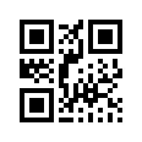 QR code 160133