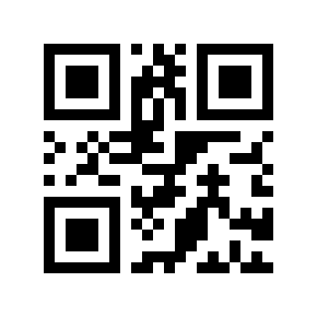 QR code 16666659